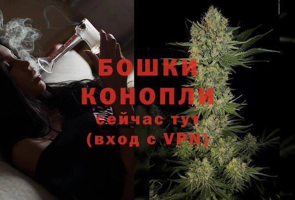 стаф Баксан
